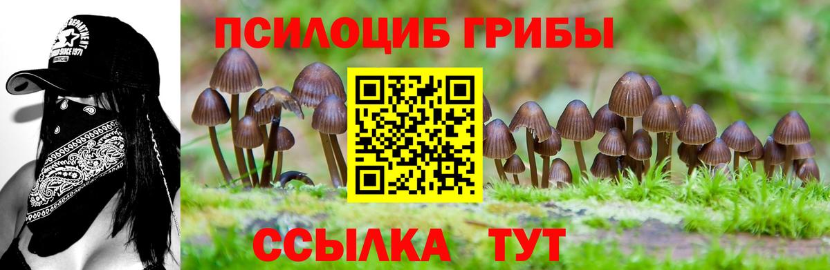 Ставрополь  Галлюциногенные грибы Psilocybe  Вход с VPN  Псилоцибиновые грибы Psilocybine cubensis 